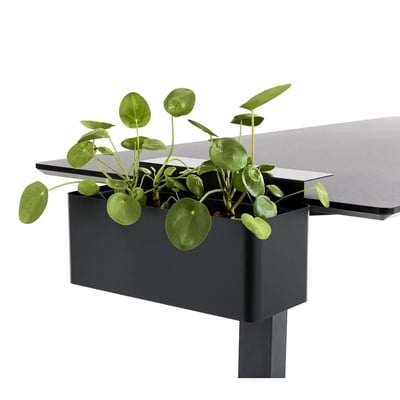Pflanzbox - PJP-6000-0041