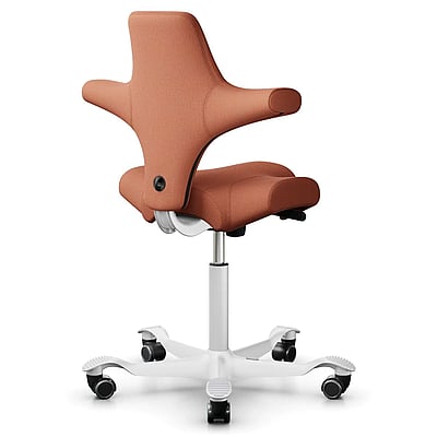 Arbeitsstuhl HAG Capisco 8106 - HAG-Capisco-8106