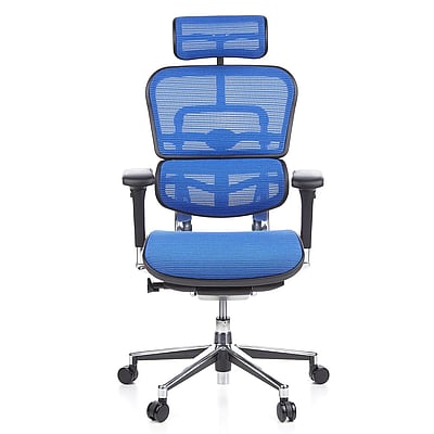 Bürostuhl Chefsessel ERGOHUMAN Netzstoff blau - HJH-652150