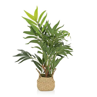 Kunstpflanze CHAMAEDOREA - HJH-871014