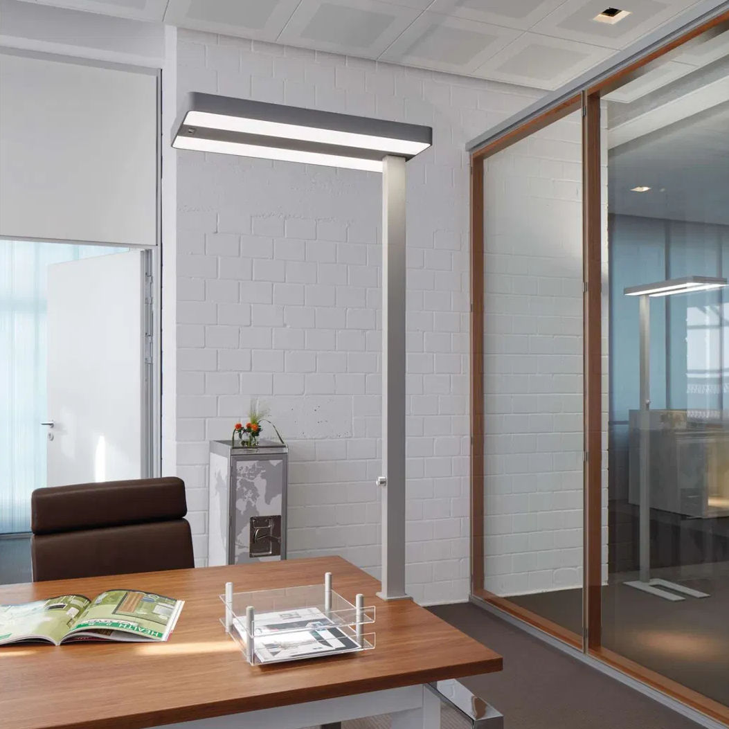 Maul Tischleuchte LED juvis sensor dimmbar