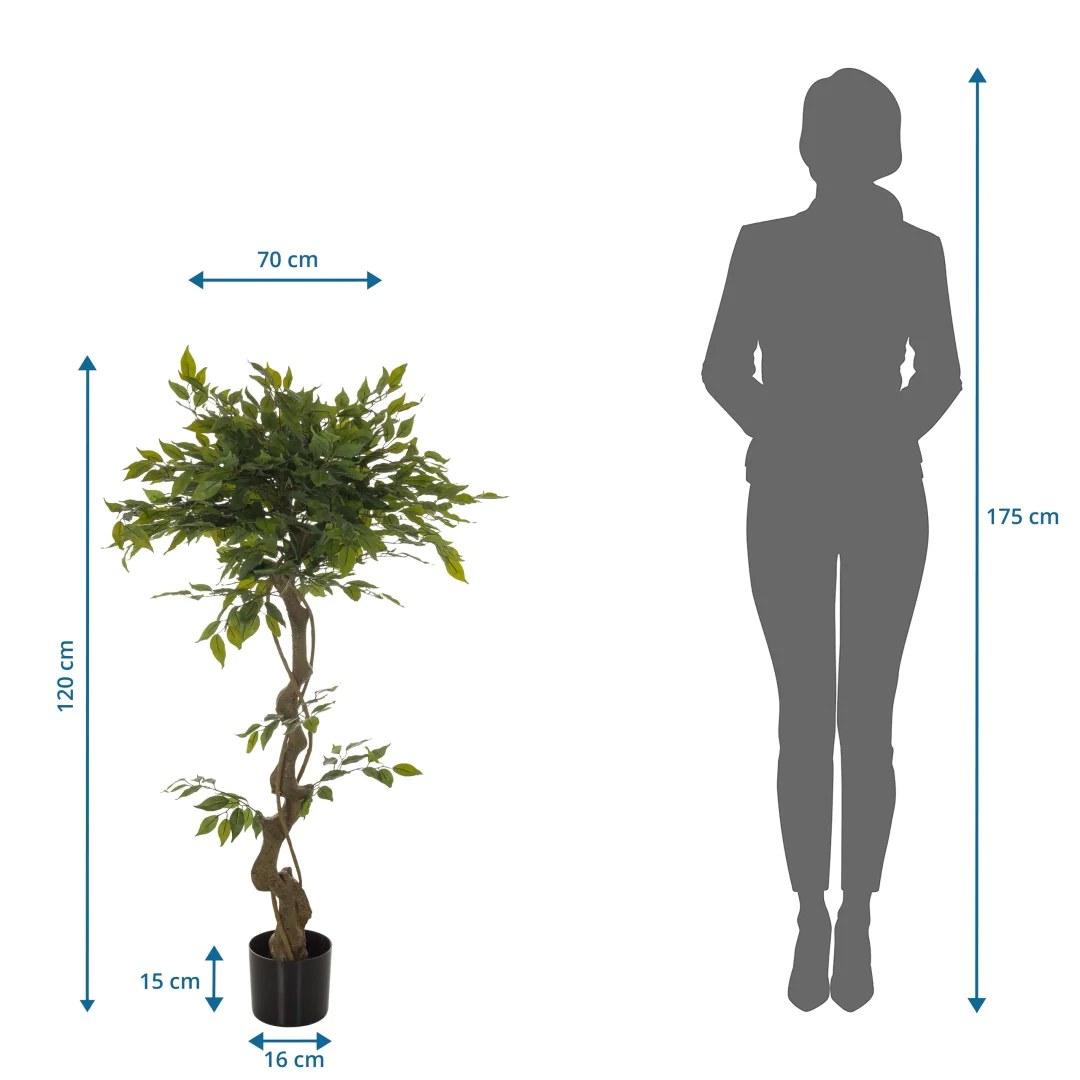 Die Kunstpflanze FICUS I als langlebige Dekoration für professionelle Räumlichkeiten