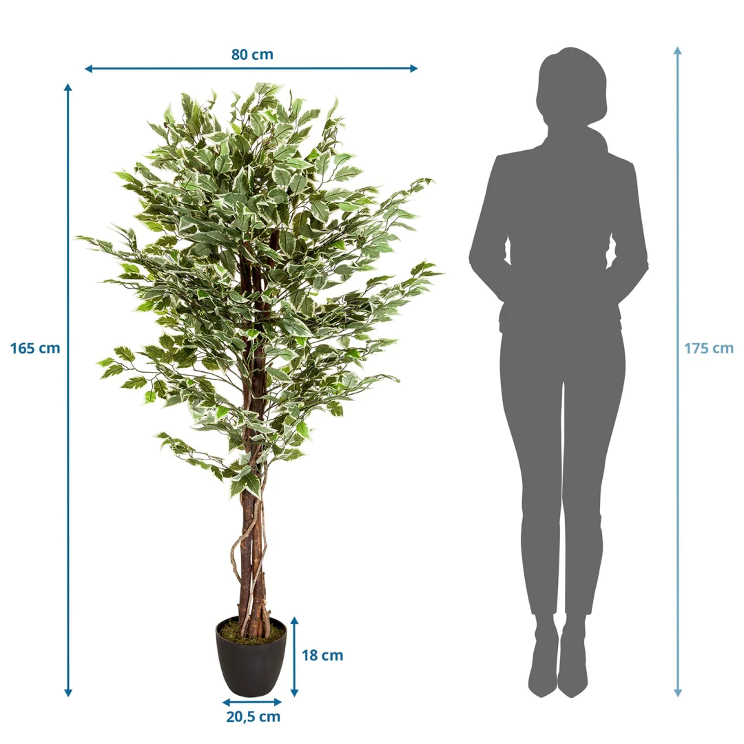 Die FICUS Kunstpflanze als langlebige Dekoration für professionelle Räumlichkeiten