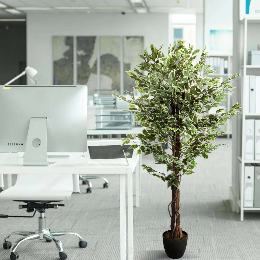Kunstpflanze FICUS als repräsentative und pflegeleichte Dekoration im Büro