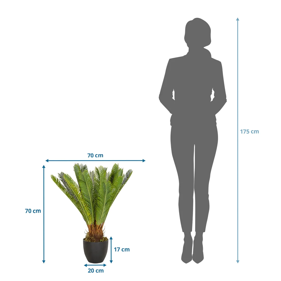 Die CYCAS Kunstpflanze als langlebige Dekoration für professionelle Räumlichkeiten