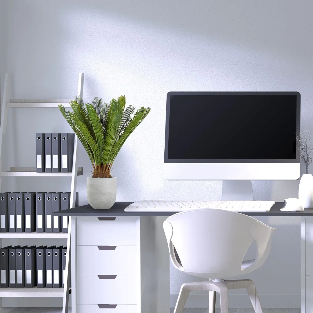 Kunstpflanze CYCAS als repräsentative und pflegeleichte Dekoration im Büro