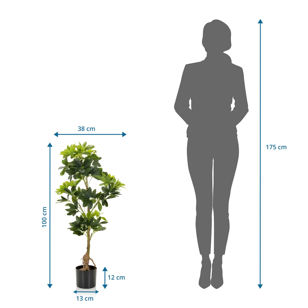 Die SCHEFFLERA Kunstpflanze als langlebige Dekoration für professionelle Räumlichkeiten