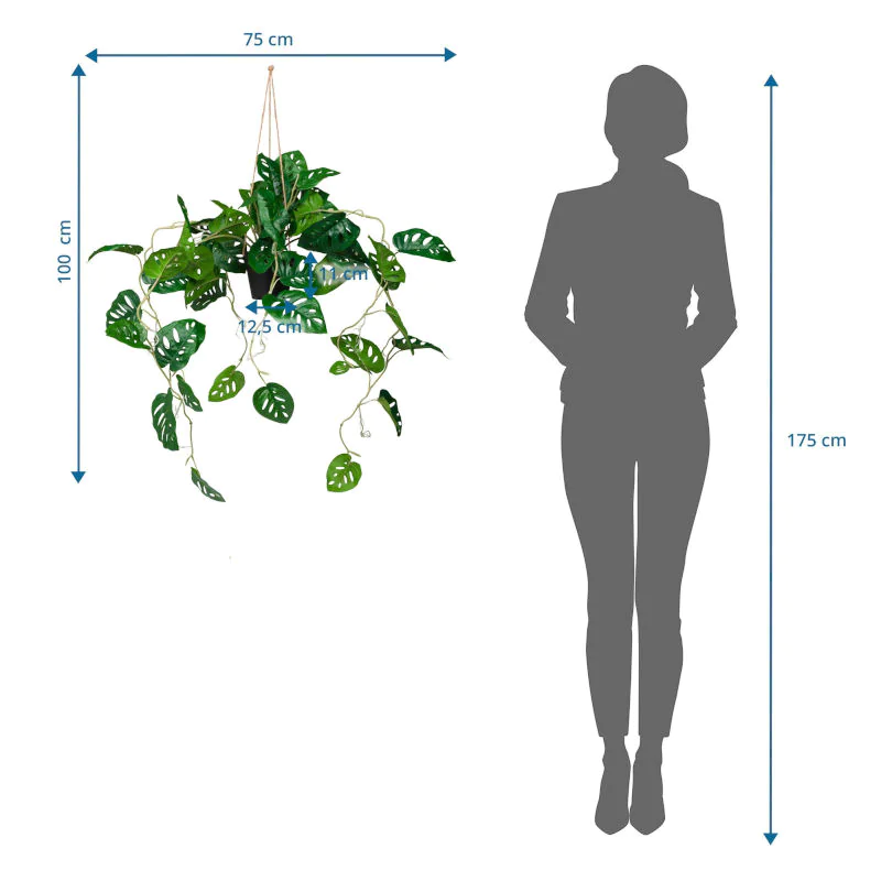Die MONSTERA CLIMB Kunstpflanze als langlebige Dekoration für professionelle Räumlichkeiten