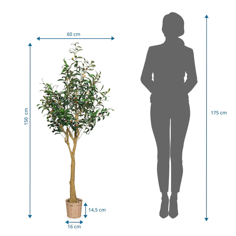 Die OLIVE II Kunstpflanze als langlebige Dekoration für professionelle Räumlichkeiten
