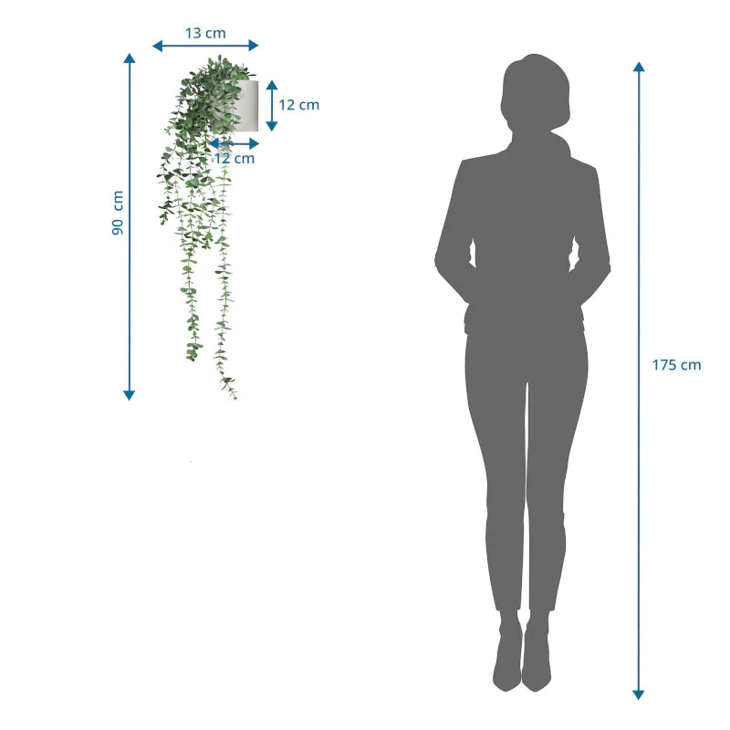 Die EUCALYPTUS CLIMB Kunstpflanze als langlebige Dekoration für professionelle Räumlichkeiten