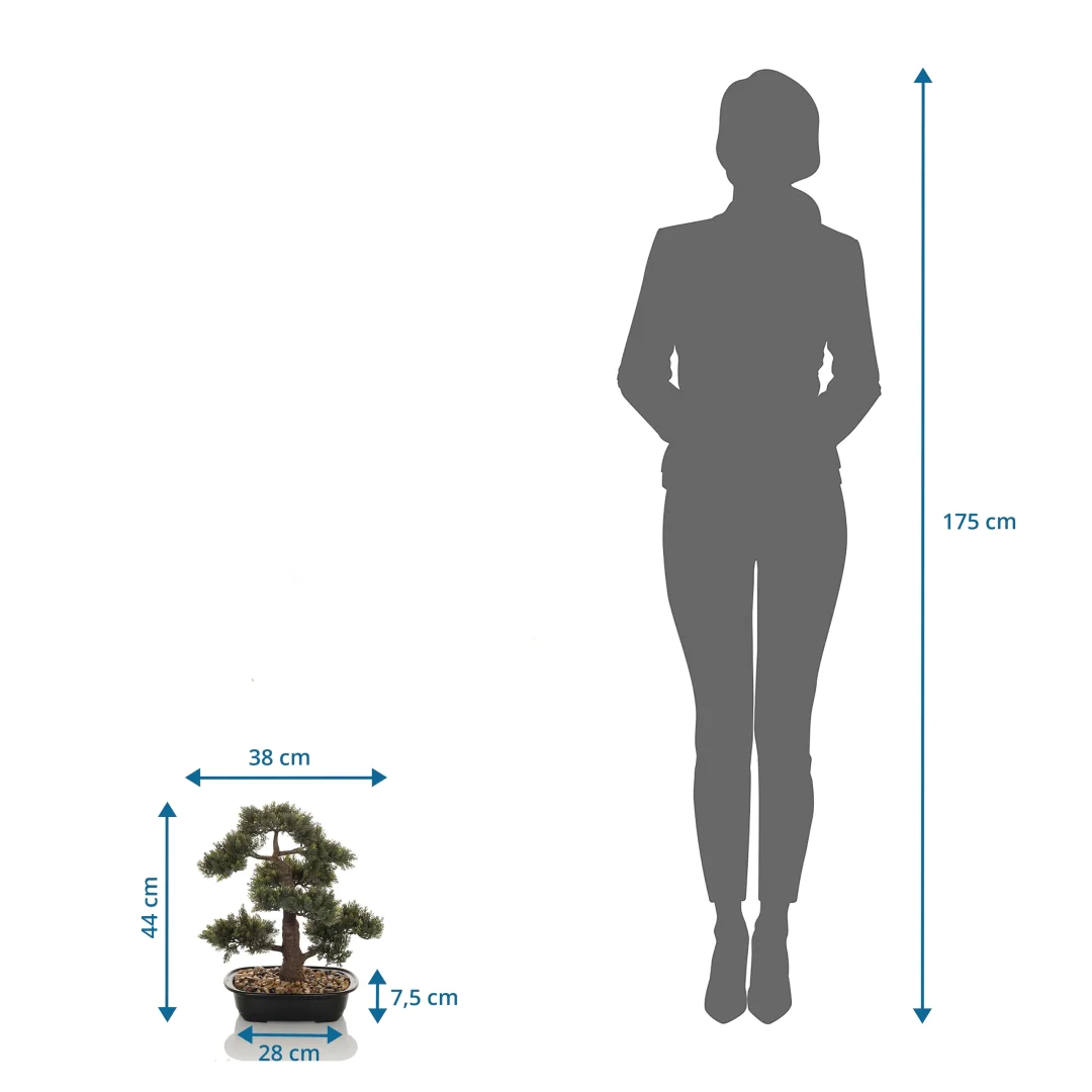Die BONSAI Kunstpflanze als langlebige Dekoration für professionelle Räumlichkeiten