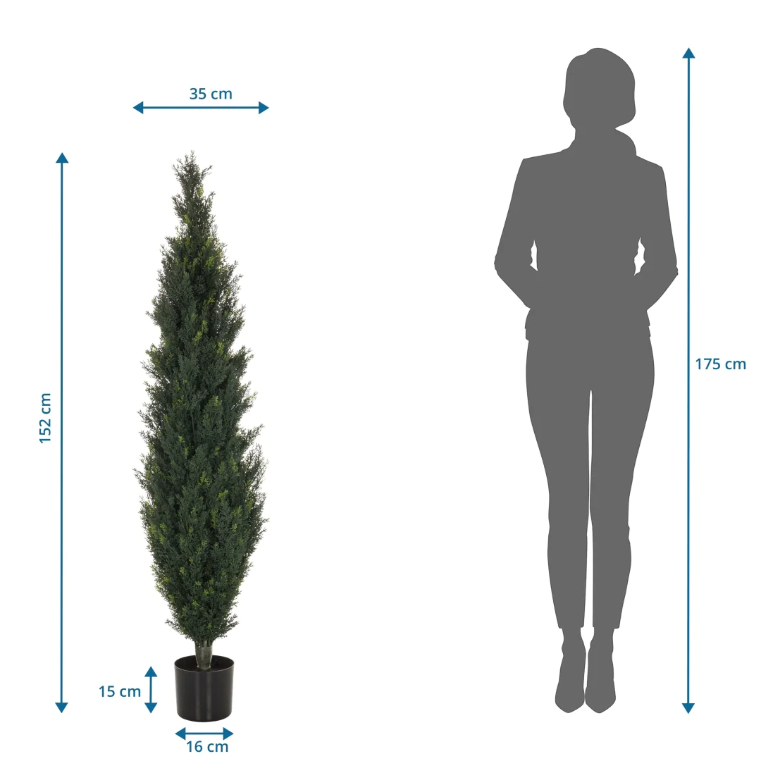 Die CEDRUS Kunstpflanze als langlebige und vielseitige Dekoration für professionelle Räume