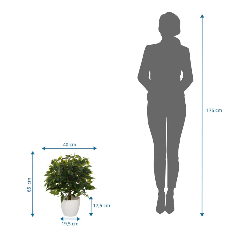 Die FICUS II Kunstpflanze als langlebige Dekoration für professionelle Räumlichkeiten