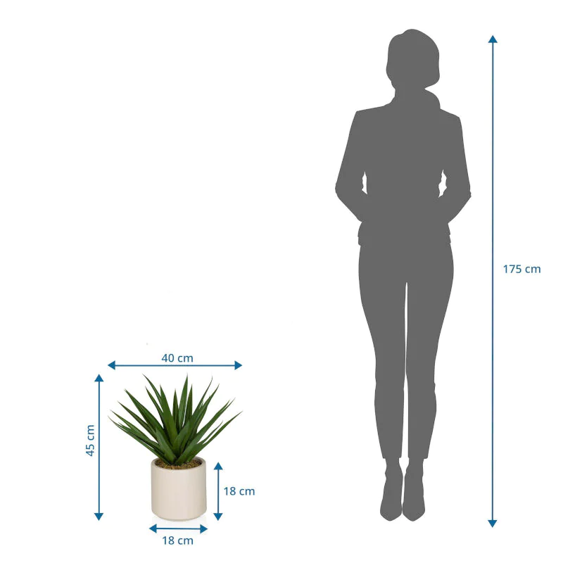 Die Agave Kunstpflanze als langlebige Dekoration für professionelle Räumlichkeiten
