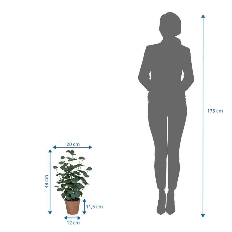 Die Eucalyptus Kunstpflanze als langlebige Dekoration für professionelle Räumlichkeiten