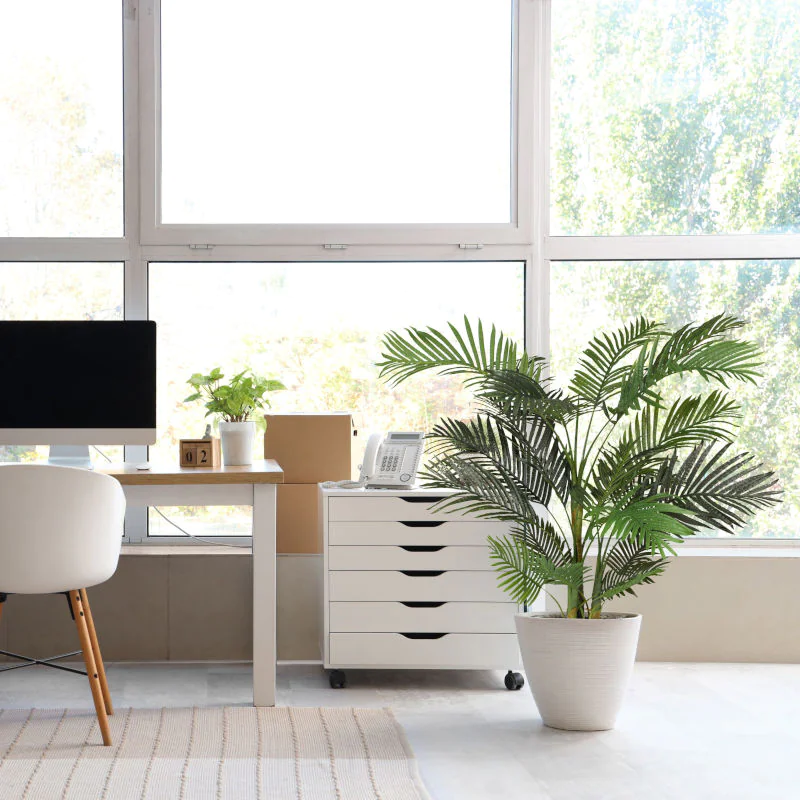Kunstpflanze ARECA II als repräsentative und pflegeleichte Dekoration im Büro