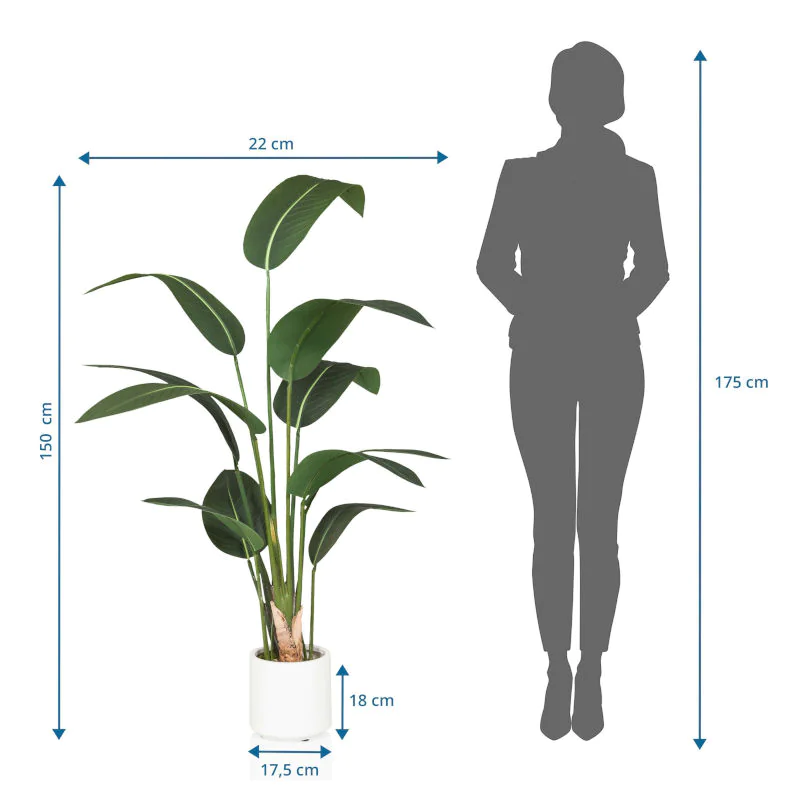 Die STRELITZIA Kunstpflanze als langlebige Dekoration für professionelle Räumlichkeiten