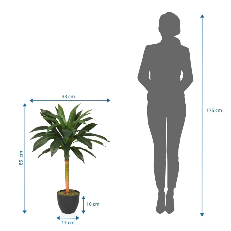 Die DRACAENA I Kunstpflanze als langlebige Dekoration für professionelle Räumlichkeiten