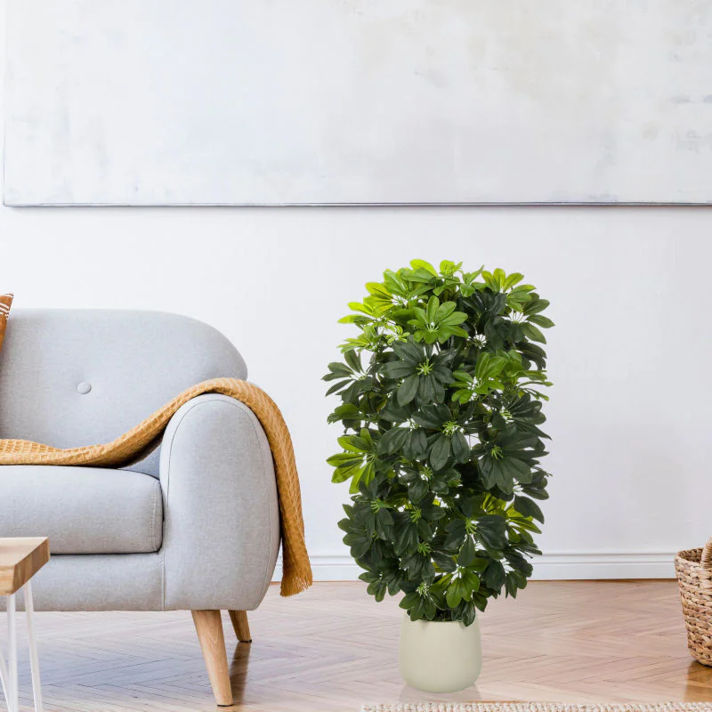 Kunstpflanze Schefflera 2 als repräsentative und pflegeleichte Dekoration im Büro