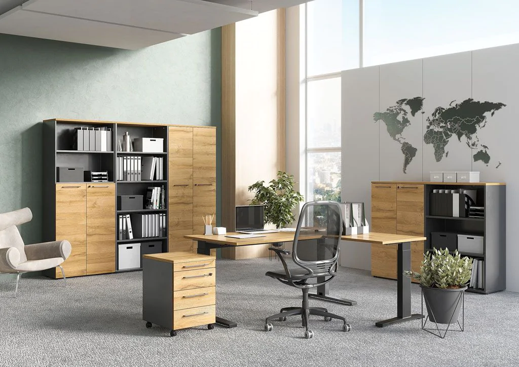 Aktenschrank 4237 von BME home - Produktbild 3 von 10