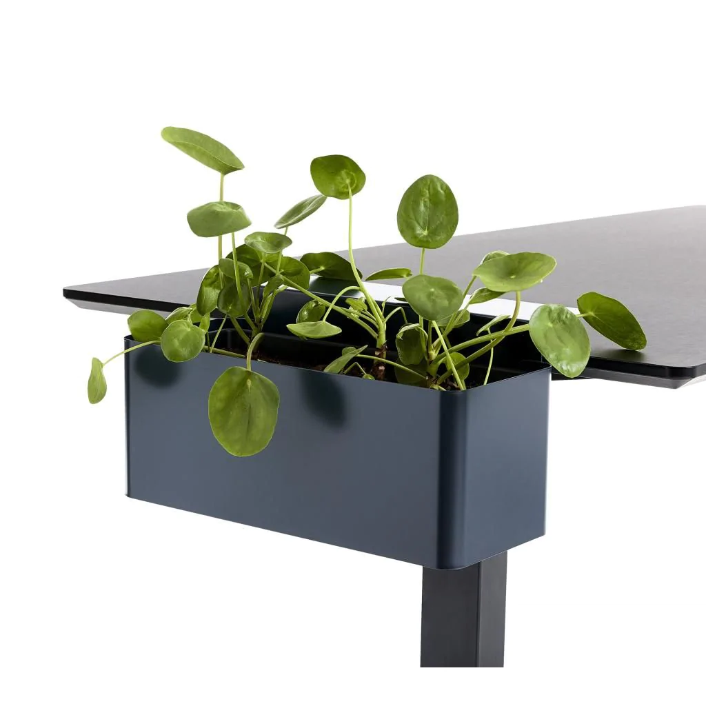 Pflanzbox von apto plus - Produktbild 2 von 6