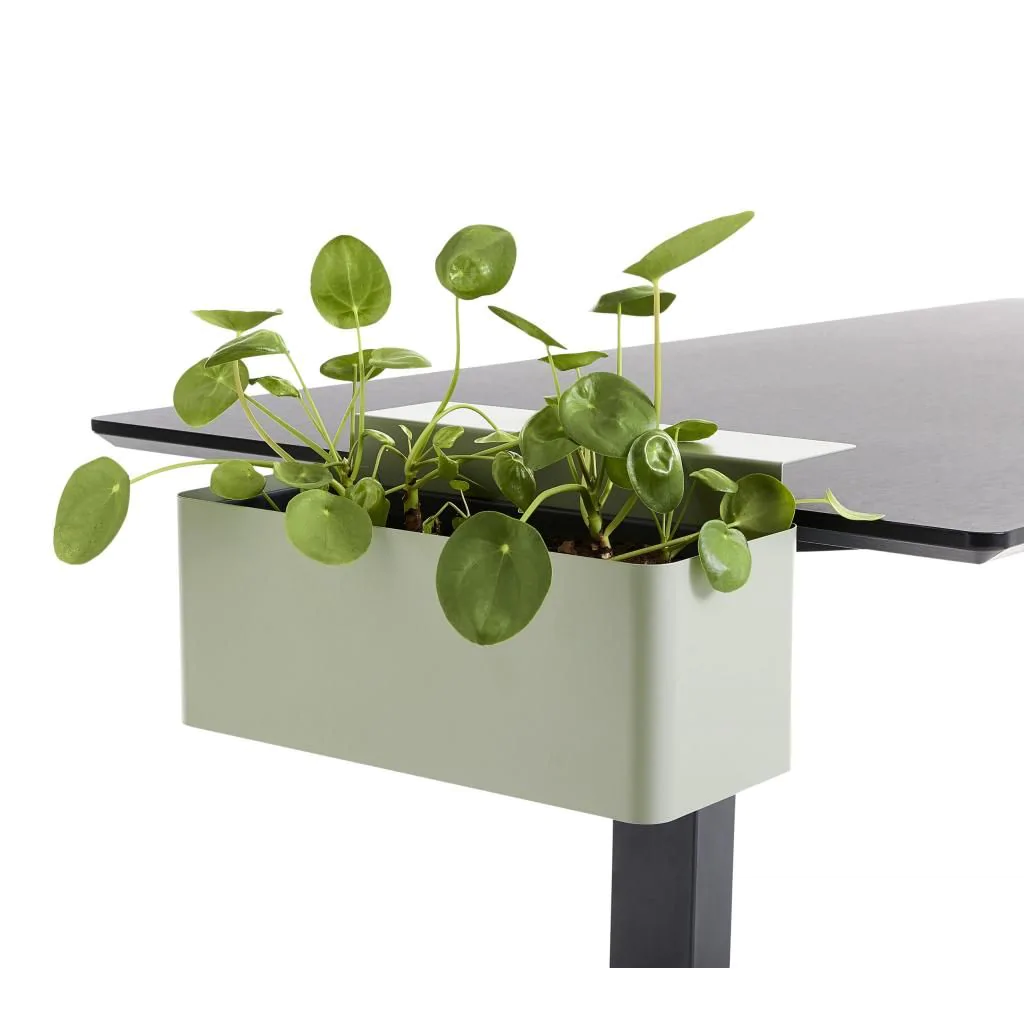 Pflanzbox von apto plus - Produktbild 3 von 6