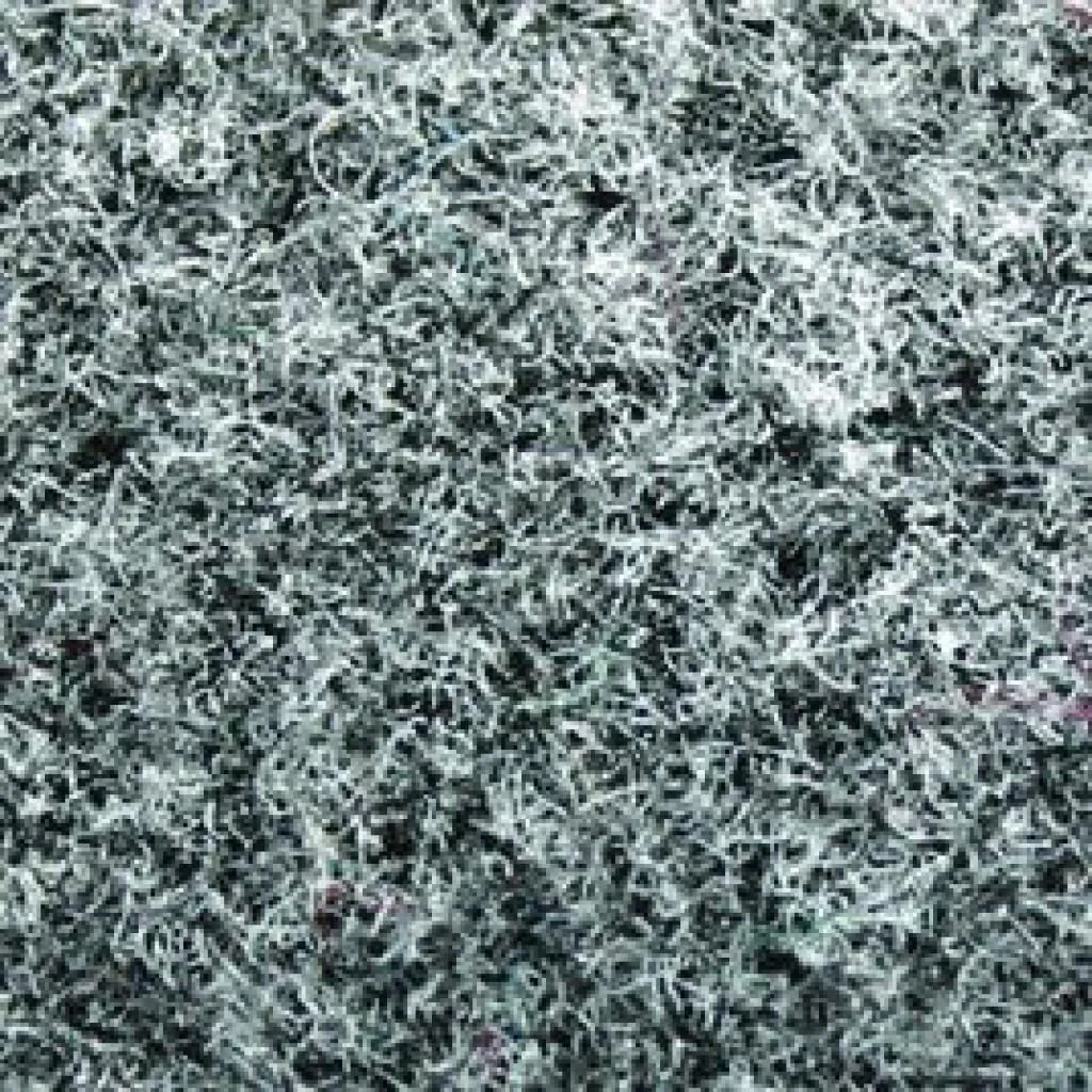 Schmutzfangmatte Doortex Valuemat von Floortex - Produktbild 2 von 2