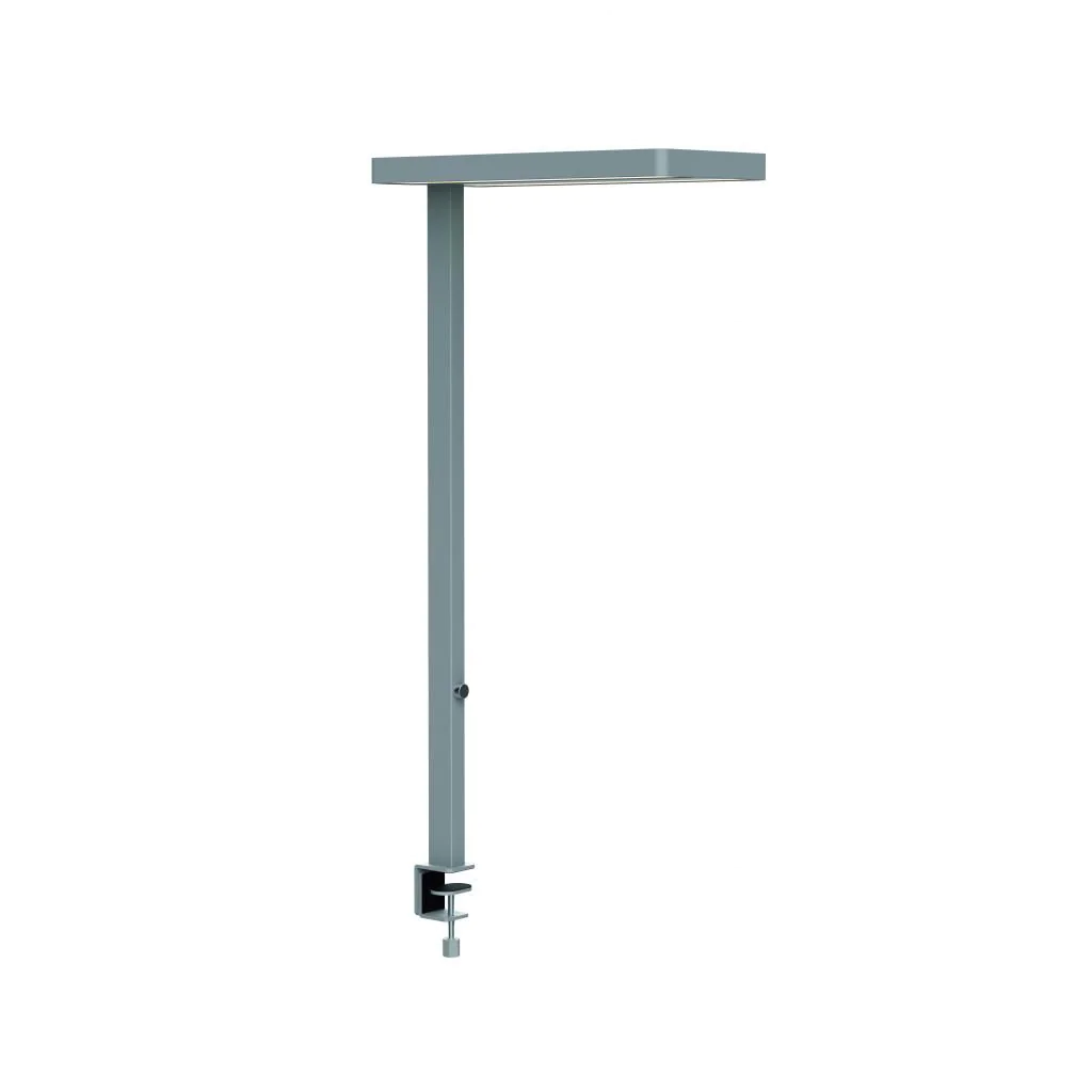 Tischleuchte LED javal dimmbar von Maul - Produktbild 3 von 5