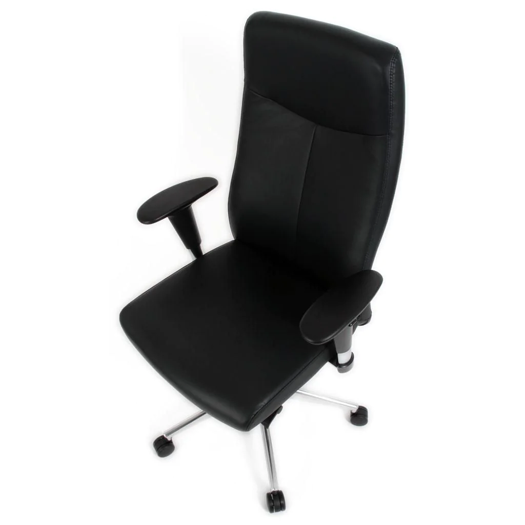 Chefsessel XL Leder von Rovo - Produktbild 8 von 17