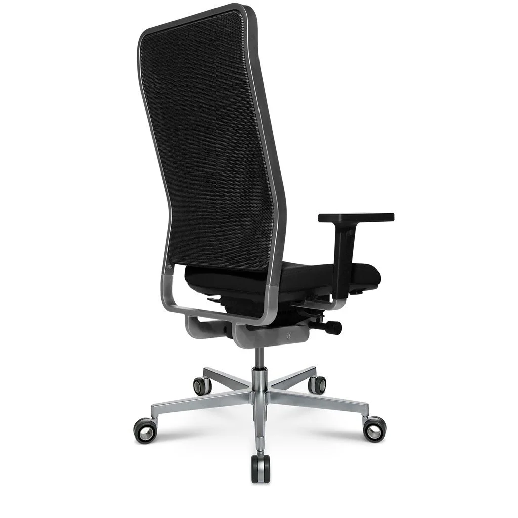 Chefsessel W1 von Wagner - Produktbild 3 von 4