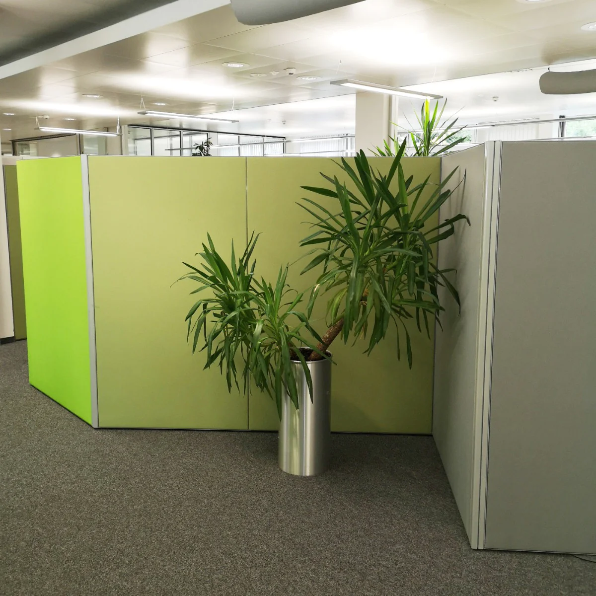 Akustisch wirksame Stellwand im Büro
