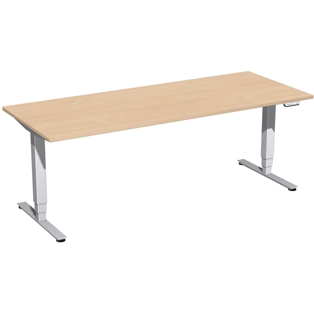 Der Elektro Pro+ Schreibtisch als Teil einer professionellen und ergonomischen Büroeinrichtung