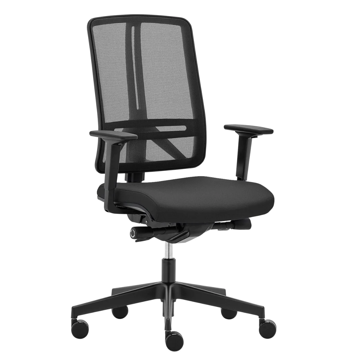 Detailansicht der präzisen Einstellmechanismen und der anpassbaren Lordosenstütze