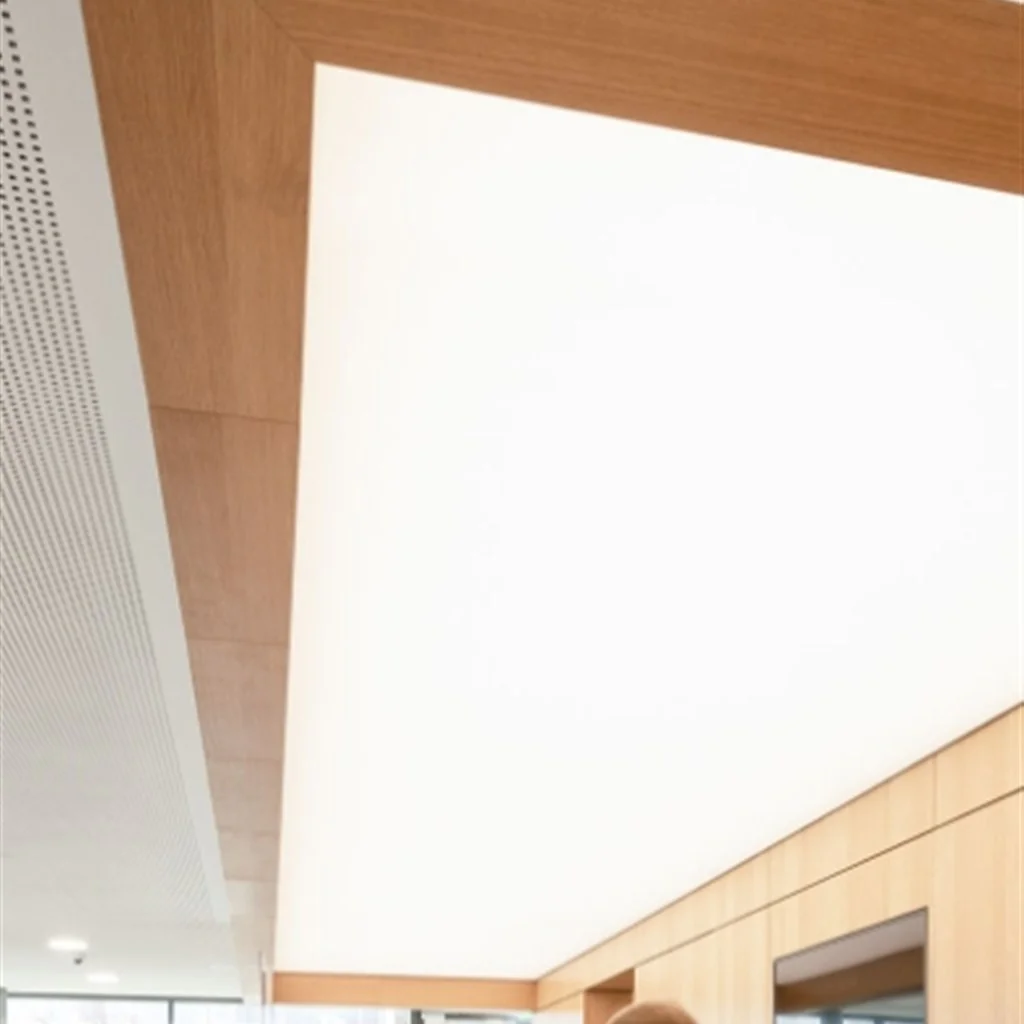 Frameless Spot Deckenabsorber mit Leuchte, Anwendungsbeispiel