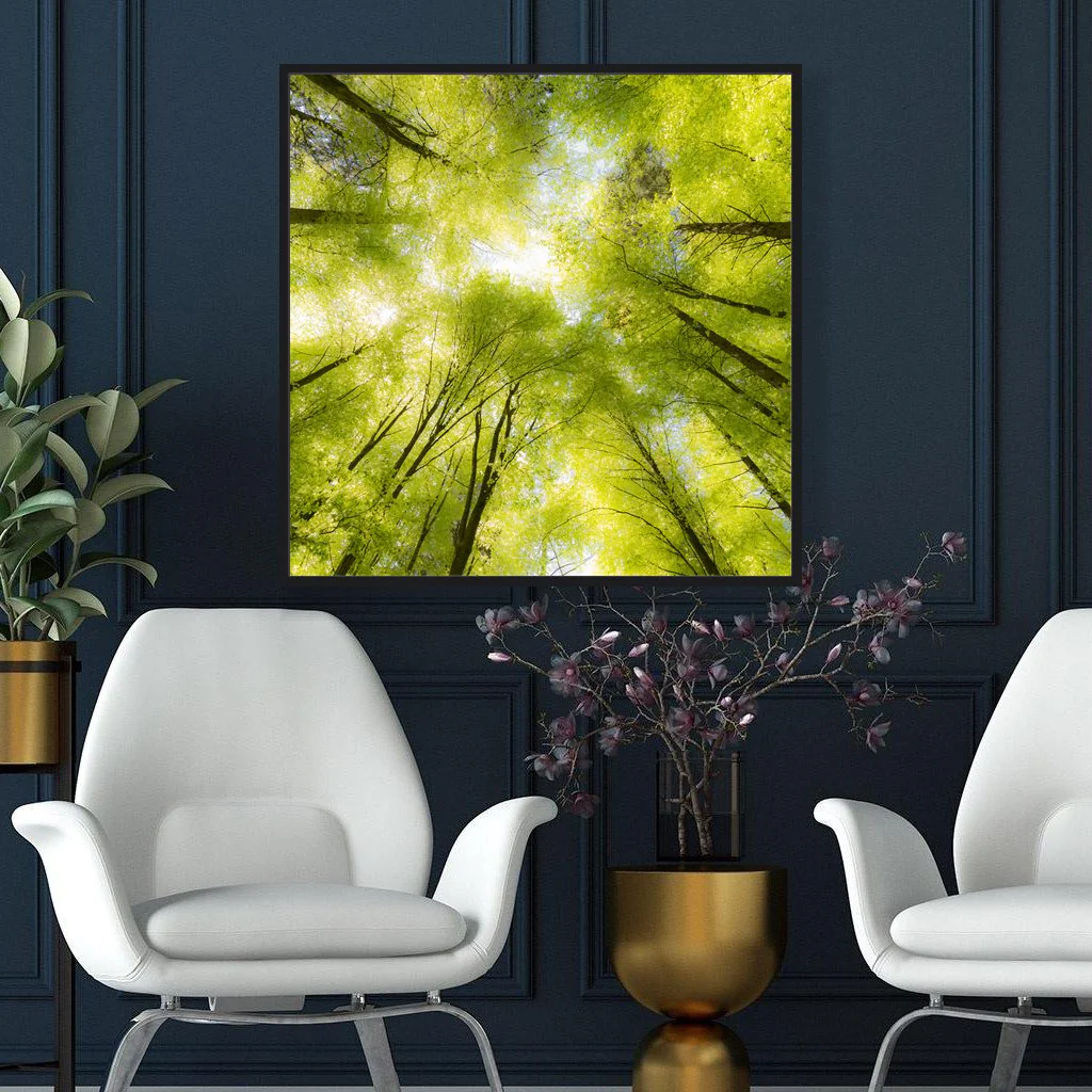 Frameless Picture Akustikbild – Traumbaum, Anwendungsbeispiel