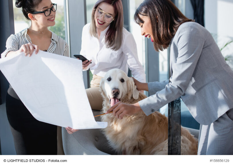 Bürohund – Vor- und Nachteile des neuen Trends